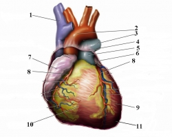 Illustration du site Respiliège
